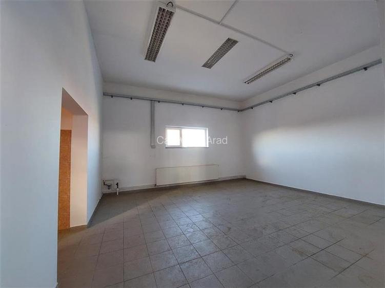 Hala de depozitare in Arad Sud - 4
