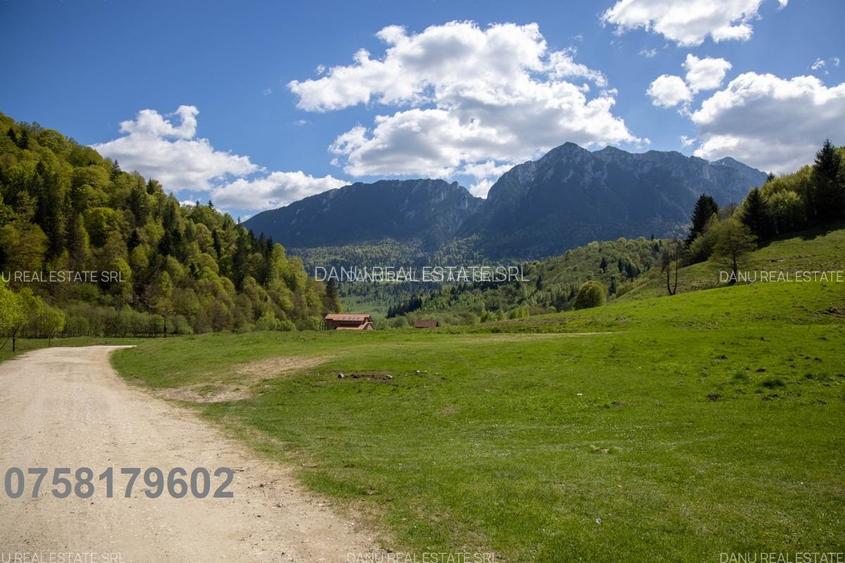 Zarnesti Barsa Fierului-Teren 1893mp cu fantana si acces parau - 3