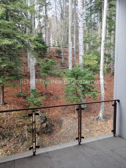 VAND PENTHOUSE 280 MP IN VILA + GARAJ LUX IN SINAIA PH COTA 1400 - 14