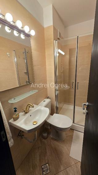 Proprietar vand casa in Cartierul Austriac - Drumul Gura Fagetului, nr 26-28, Se - 11
