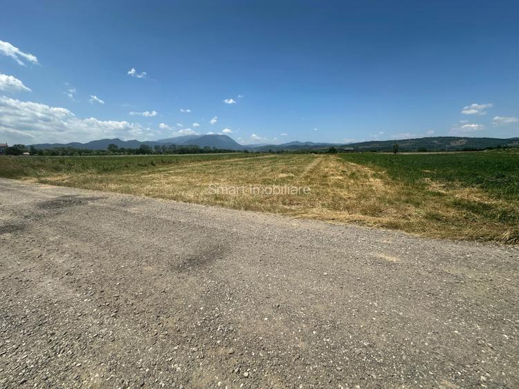 Teren 5000 mp Glajerie, zona Rasnov - 6