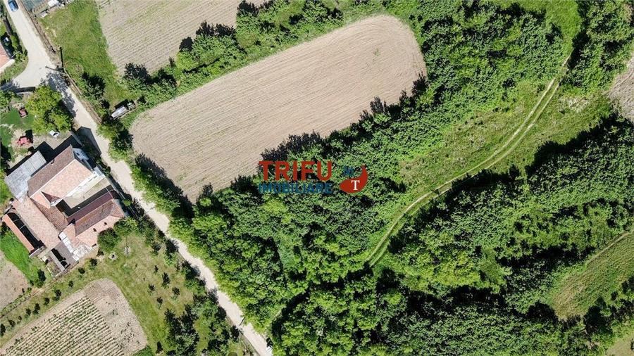 Teren intravilan 4600mp in Oarda de Sus