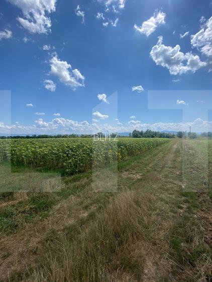 De vânzare teren arabil – 4,58 ha, Moacșa, Covasna - 4