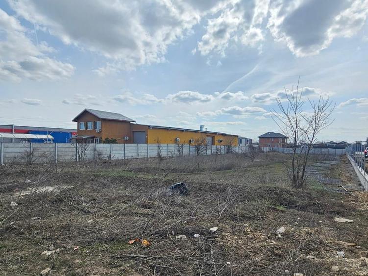 Terenuri de închiriat cu deschidere la DJ 100 – suprafețe generoase, acces TIR.