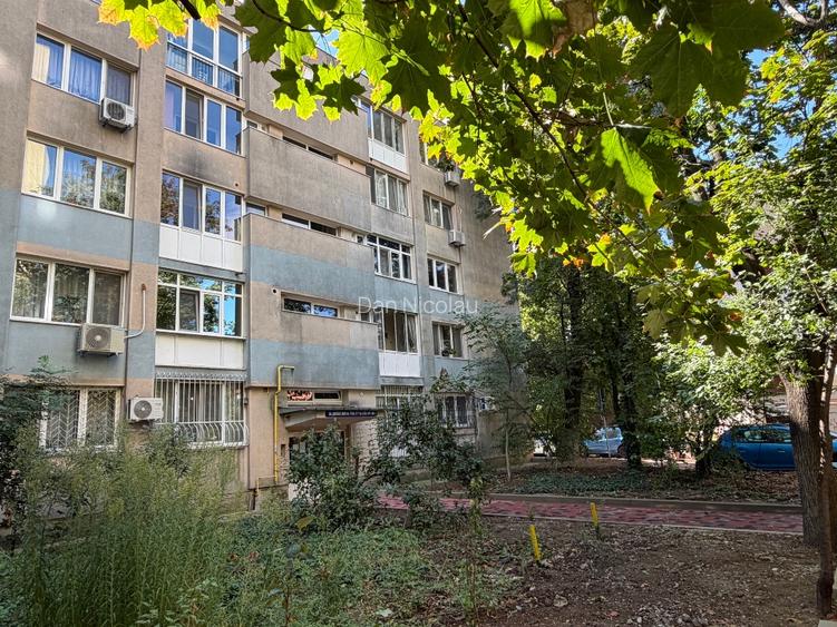 Apartament 3 camere Nicolae Sebe  Parcul Alexandru Ioan Cuza - 10
