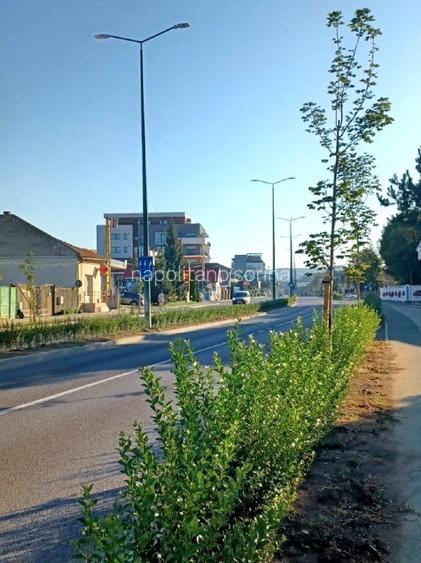 TEREN PENTRU DEZVOLTARE IMOBILIARĂ ÎN TG. MUREȘ - 3