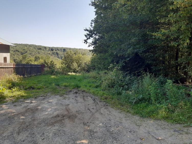 OPORTUNITATE: 4.400 mp la marginea PADURII, langa VILE NOI, toate UTILITATILE