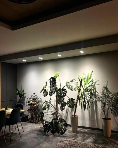 Penthouse de inchiriat in Borhanci, terasa generoasa