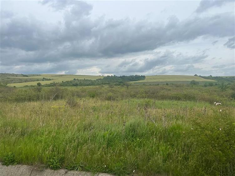 Lugoj, Teren 16.800 Mp., Cu deschidere de 80 Ml., La Centura Ocolitoare