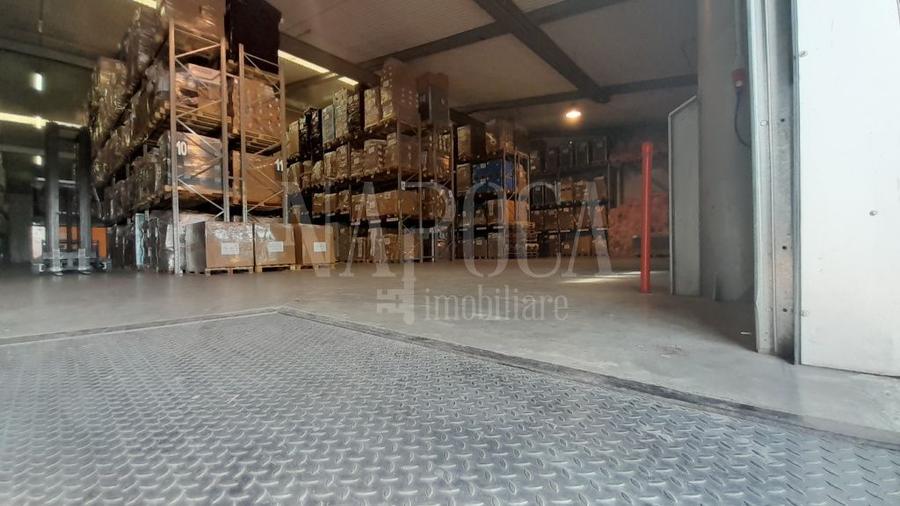 Spatiu industrial de vanzare in Bors