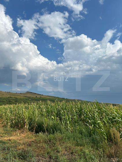 Teren de vânzare, 963 mp, 4 parcele cu PUZ,  zona Ciumbrud - 3