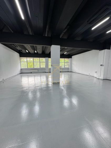 Spatiu Industrial | Pallady