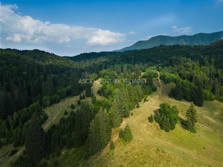 Film! Teren cu destinatie turistica si agrement, Poiana Brasov - Rasnov - 2