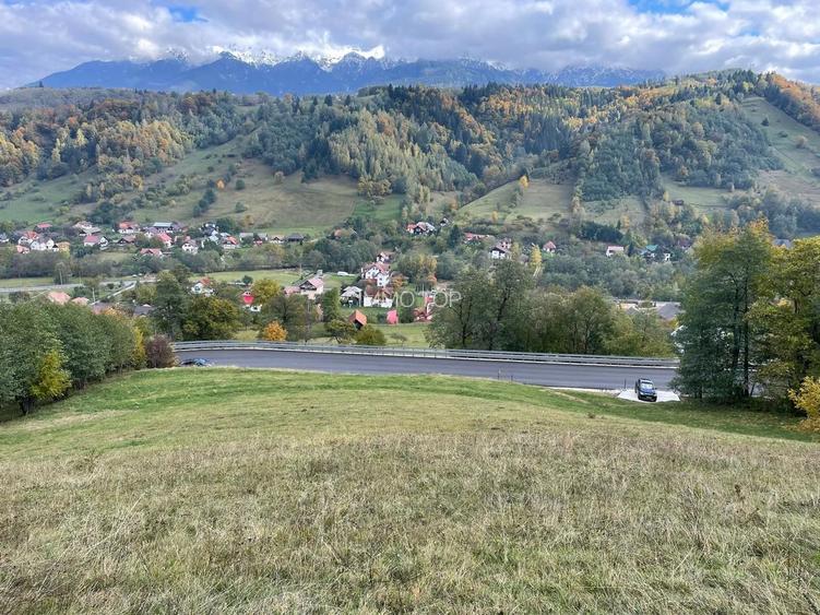 Teren extravilan cu priveliste catre Bucegi – Moieciu de Jos 4.700 mp - 9
