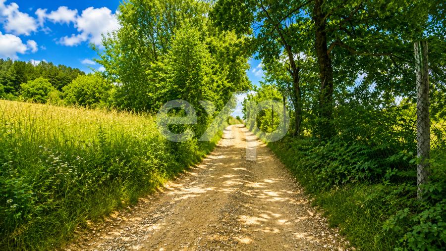PANORAMA POIANA MĂRULUI | Teren cu potențial de dezvoltare zoan After Hills