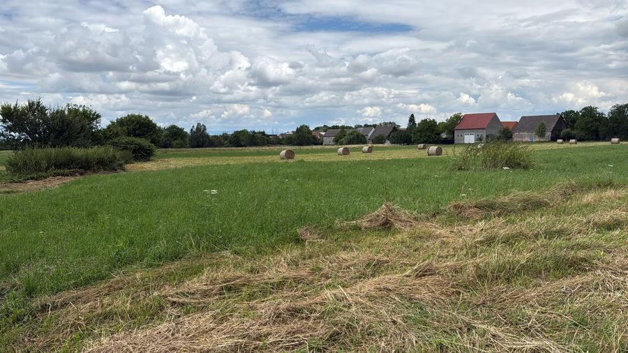 Terenuri intravilan 1500/2300 mp, Zonă în dezvoltare, cu locuințe în apropiere