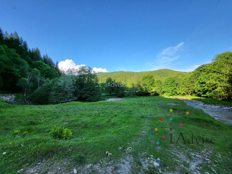 Teren in muntii Ciucas– Locație de Vis cu PUZ Aprobat - 6