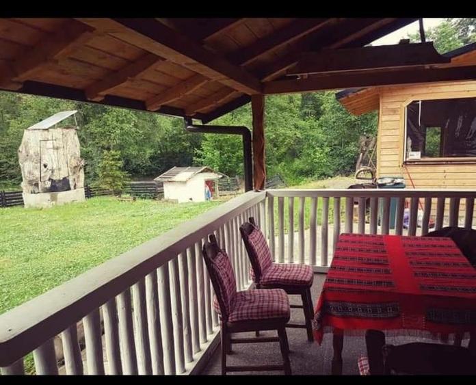 🌲 Cabana de Poveste | Molid – Vama