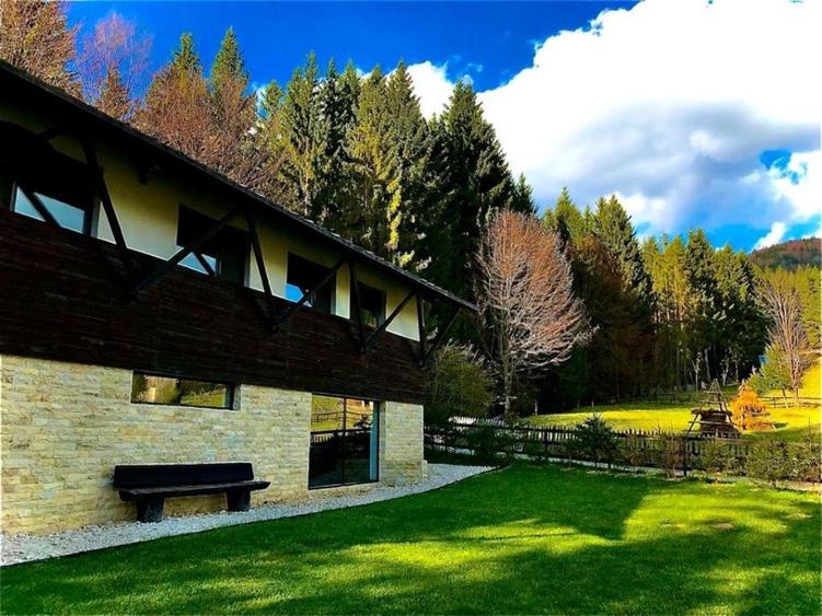Cabana de vânzare în mijlocul pădurii