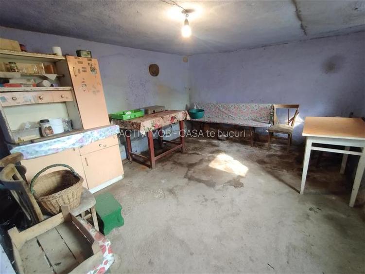 Socol | Casa 7 Camere | Parter + Pod | 546MP Teren - 30
