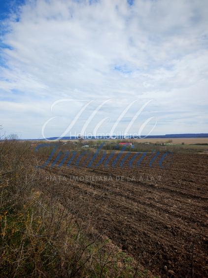 Teren 3700 mp, Intravilan Comana, sat Budeni, Jud. Giurgiu