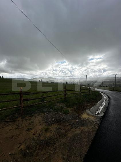 Teren de vânzare intravilan în Poiana Stampei, 2 hectare