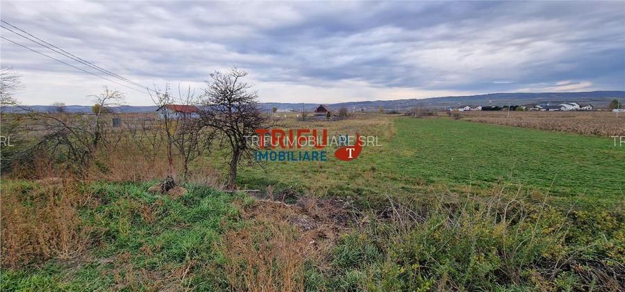 Teren 2160mp în  Partoș - 4