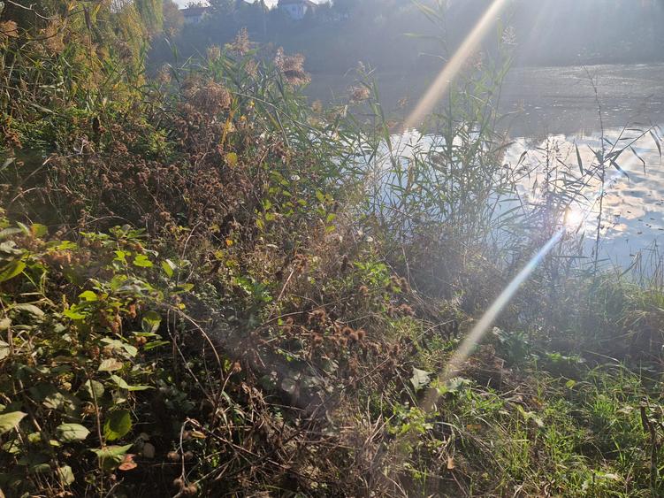 Teren cu deschidere la LAC in Pipera |Dezvoltare imobiliara |Stradal | Utilitati