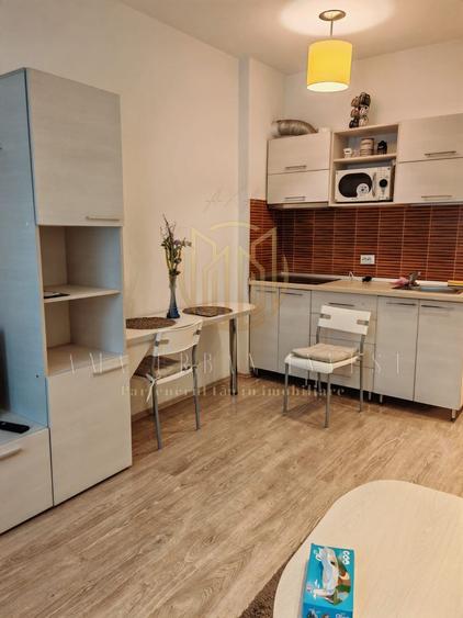 Vitan Barzesti Rin Grande garsoniera 24 mp pret 46000 eur