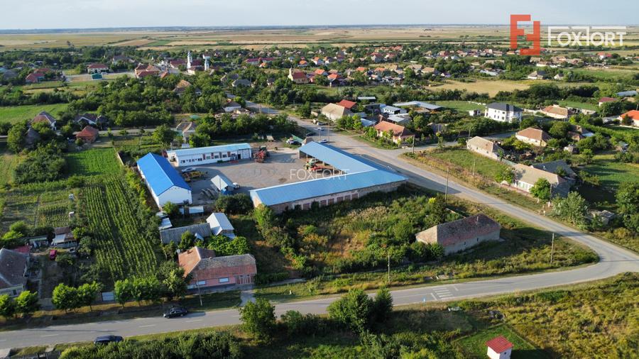 Casa individuala cu 3 camere, 130 mp utili, teren 1238 mp, in Livezile Timis - 33
