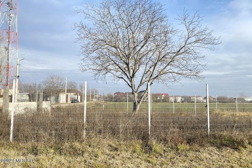 Afumati - Str. Iasomiei, 2409 MP, stradal, intravilan, deschidere 12 m - 10