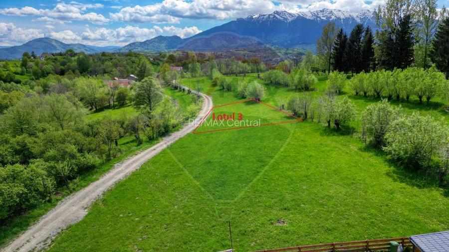 Teren 500mp-1000-2000mp, intravilan, intre Bran si Zarnesti (Tohanita) - 5