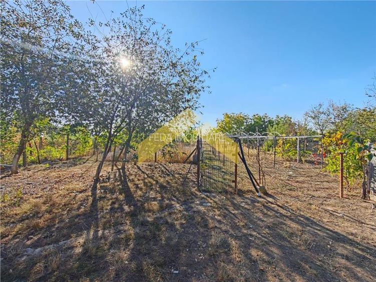 Casa la sol de vanzare in Bodrogu Nou