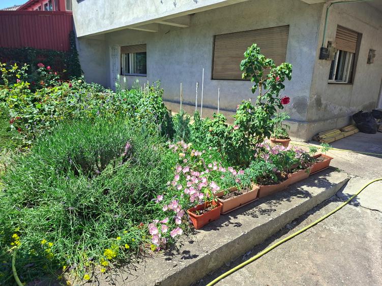 Apartament 120mp parter vilă, curte 175mp, str. Principală Costinești