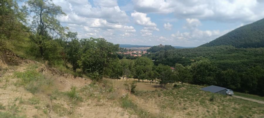 VAND 1648 MP TEREN CU PUZ CISNADIOARA