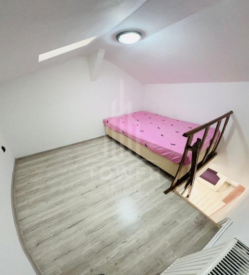 Mansarda recent renovată-Vasile Aaron