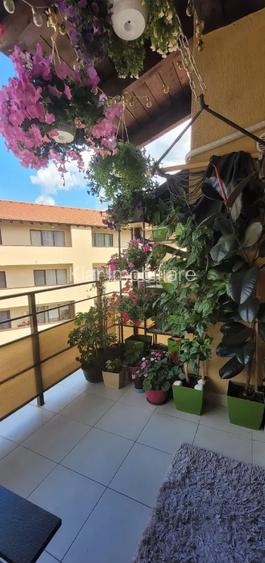 Apartament 2 camere, 34 mp, zona Florilor! - 10