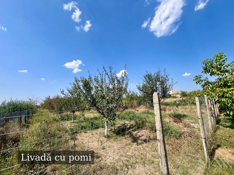 Proprietate de vanzare | Tileagd | jud. Bihor - 3