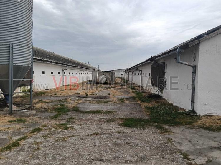 Ferma avicola pe profit, judetul Bihor-Oradea