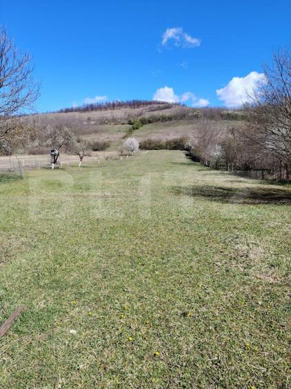 Casă cu potențial de pensiune | 280 mp | Teren 3.500 mp