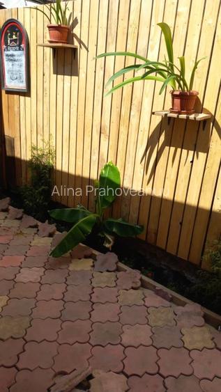 Particular ,casa curte,caramida,apa gaze canal ,acte complete, zona civilizata  - 10