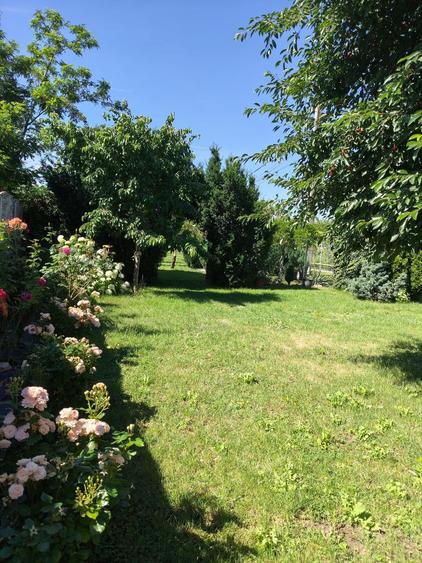 Casa cocheta cu livada si teren 1.200 mp-aproape de Pitesti