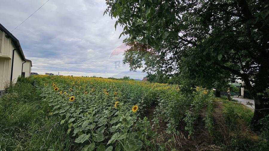 Teren intravilan 2600 mp de vânzare, Ipotești- Lisaura, Suceava