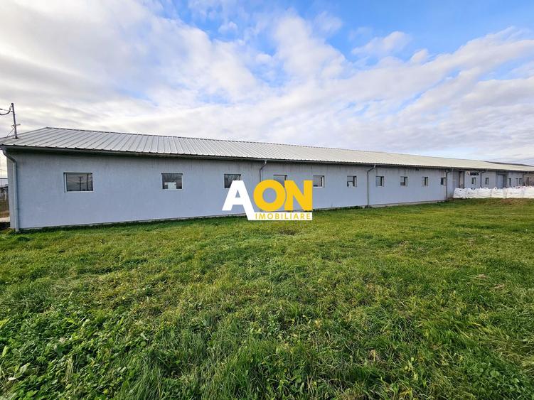 HALĂ Industrială/Producție 573mp, Teren 2793mp, DJ 107F, Comision 0