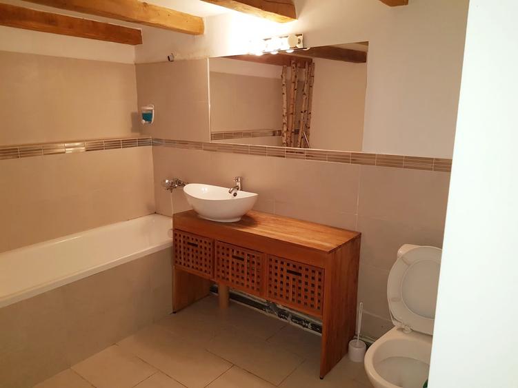 Apartament modern de închiriat zona UMF si USAMV