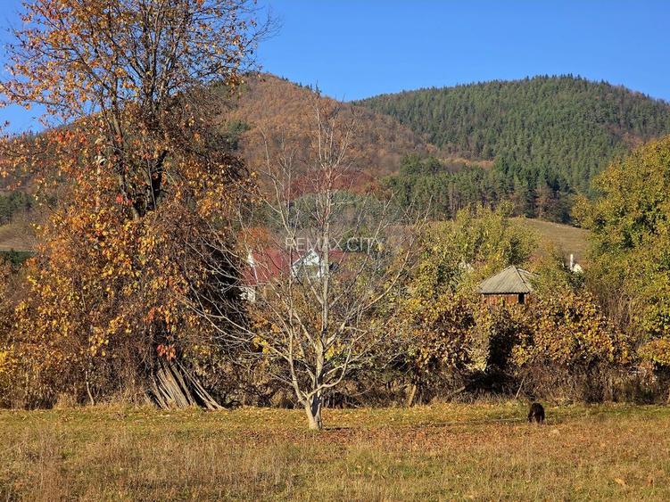 Teren 6,874mp Alexandru cel Bun / Strada plopusor - 6