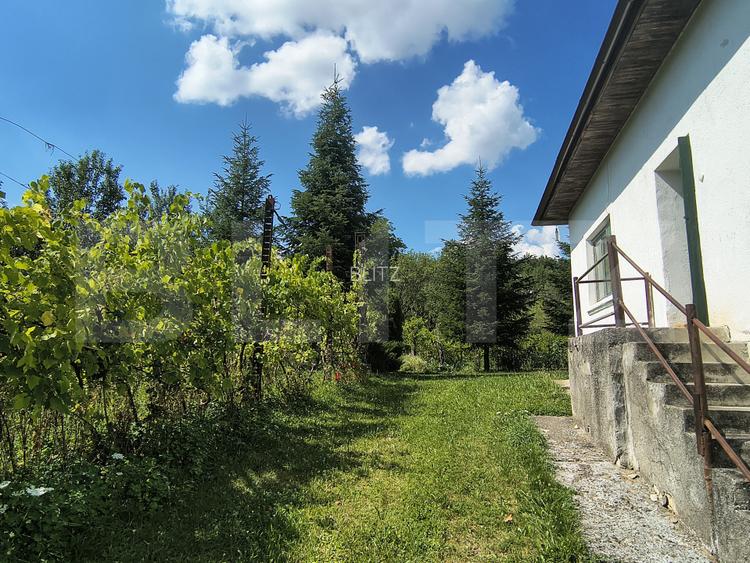 Casa de vanzare, 244 mp, teren 7729 mp, zona Ocna Dejului - 2