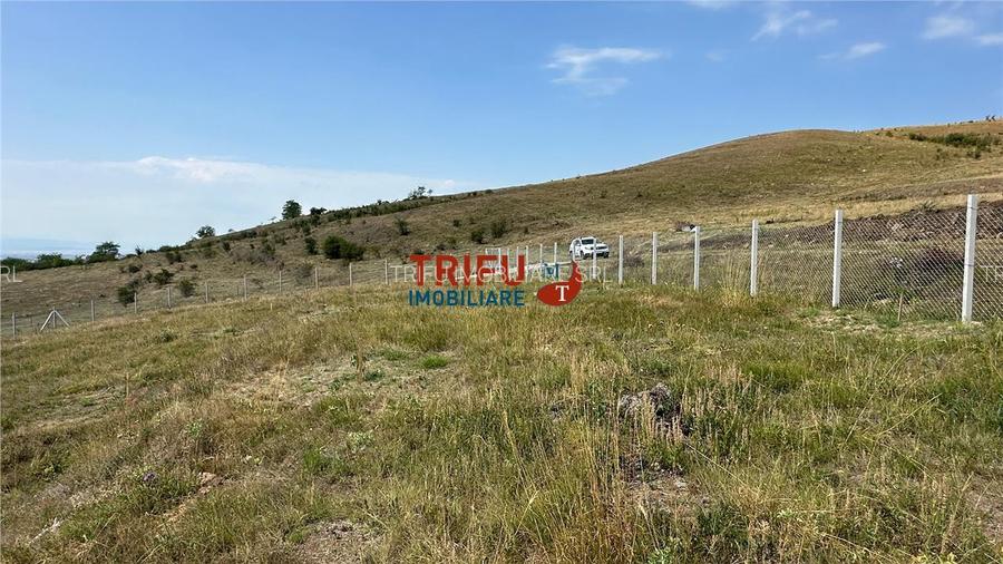 Teren pentru relaxare și agricultură în Barabant, Alba Iulia – Ex - 9