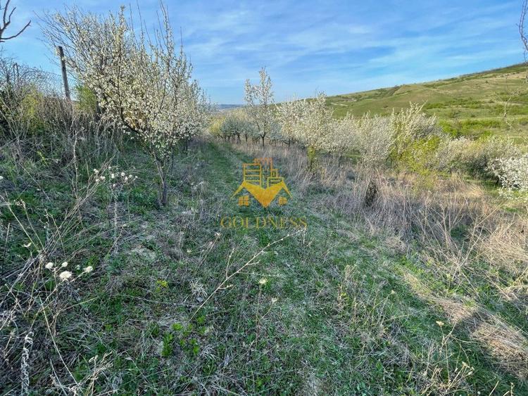 Tren Soporului Intravilan ,5500 MP Utilitati, Oportunitate