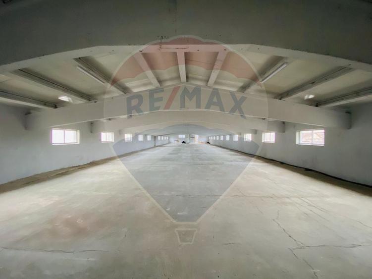 Teren Industrial 4,300mp și Hală 1000mp de Vânzare în Tomesti - Iași